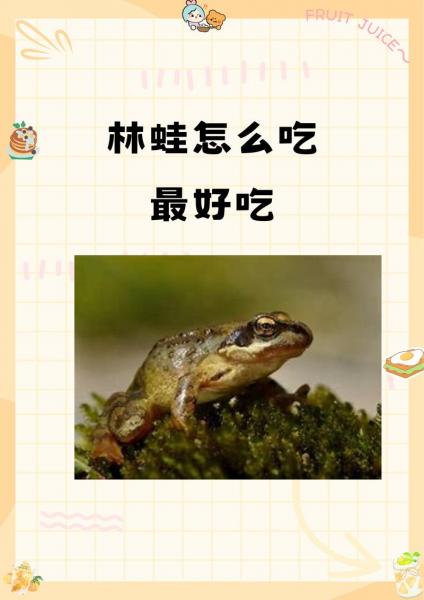林蛙养殖上哪办理?林蛙养殖证怎么办理?