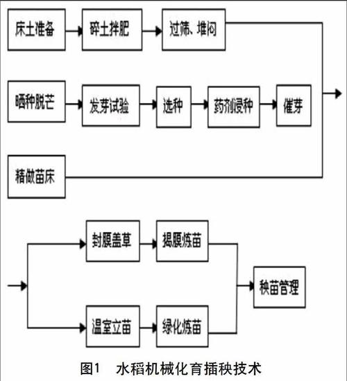 水稻种植过程流程,水稻的种植流程?