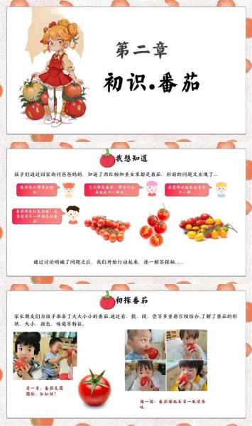 西红柿种植时间和方法简介，西红柿种植的时间和方法？