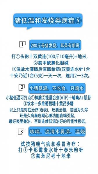 猪反复发烧的解决方法,猪反复发烧的解决方法有哪些?
