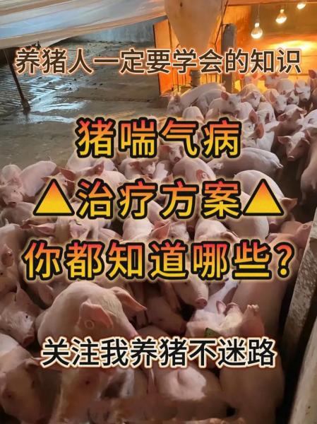猪反复发烧的解决方法,猪反复发烧的解决方法有哪些?