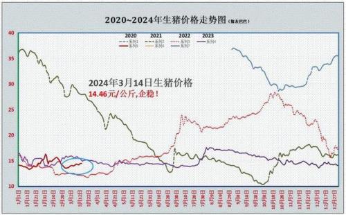 2023年下半年猪价会涨吗，2023年底猪价大涨？