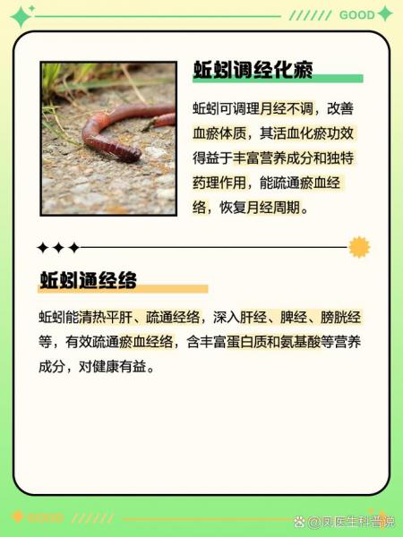 蚯蚓养殖靠谱吗,蚯蚓养殖效益怎么样