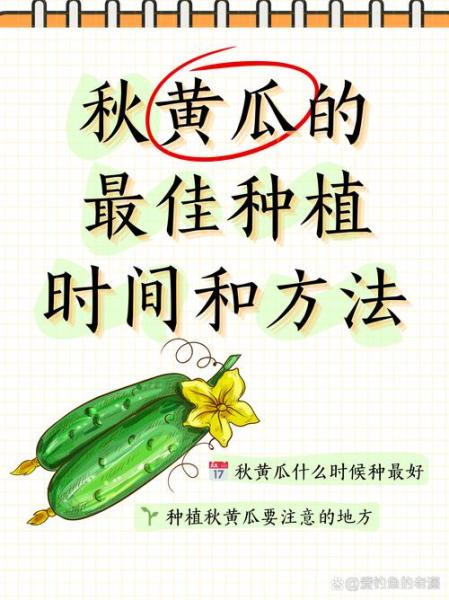 秋黄瓜最佳种植时间，秋黄瓜最佳种植时间是几月？
