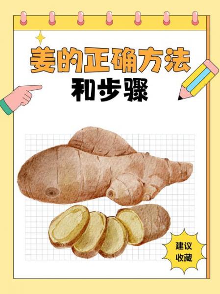 怎么种植姜,怎么种植姜花?