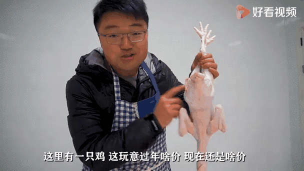 今日最新鸡价动态,今曰鸡价