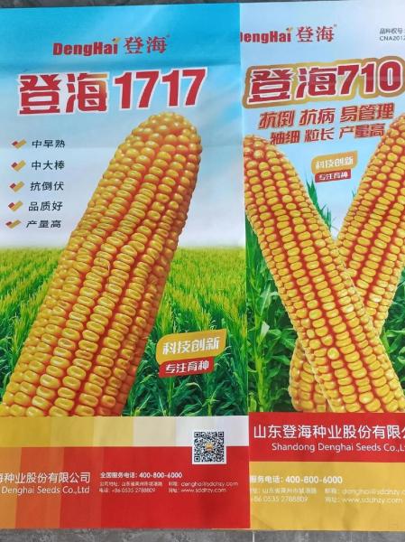 10个最好玉米品种,10个最好玉米品种登海605