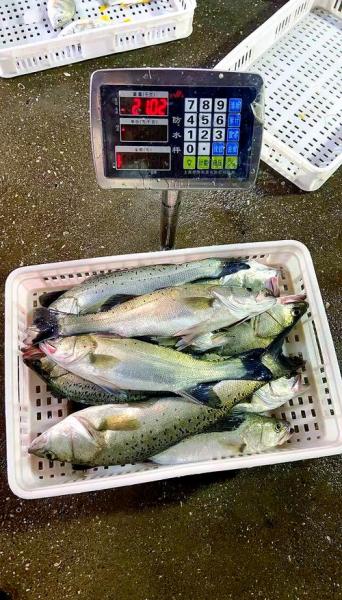 市场鲈鱼多少钱一斤,市场鲈鱼多少钱一斤价格?