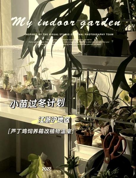 小鸡苗温室怎样建比较好,鸡苗温室怎么搭建??