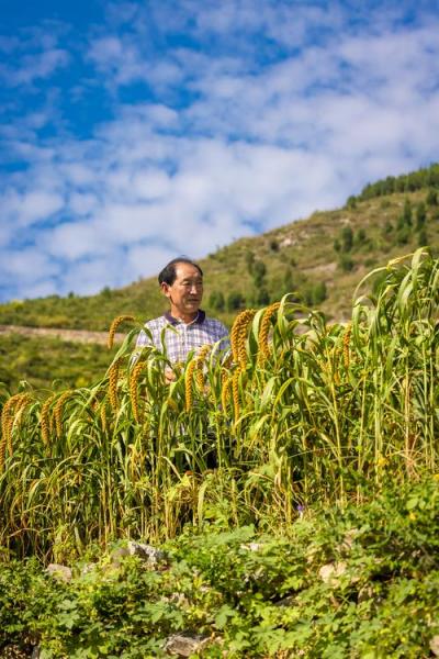山区适合种植什么产业，山区适合种植什么产业呢