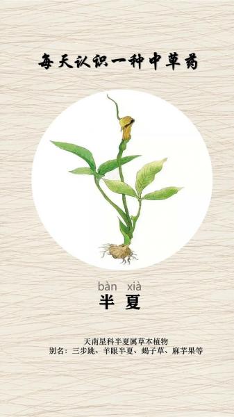 半夏种植条件和方法?半夏种植条件和方法视频?