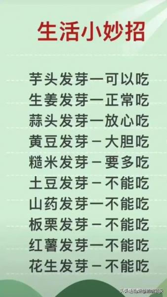 苋菜什么时候种植?1一12月种蔬菜表?