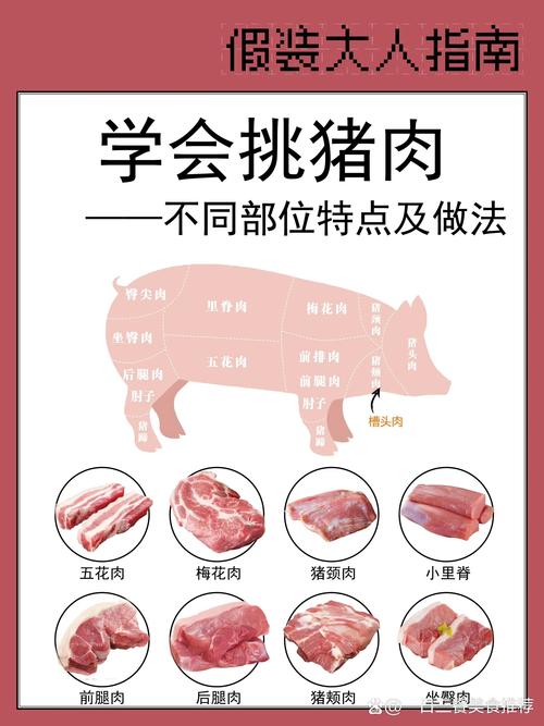 豪猪肉可以吃吗?豪猪肉禁忌?