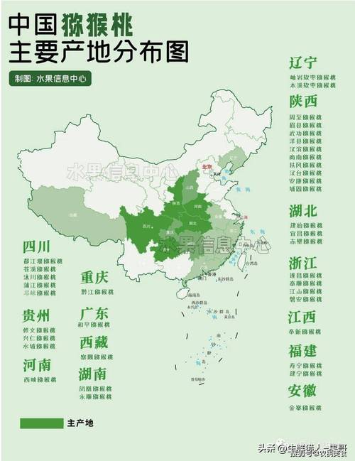 猕猴桃种植地区分布?猕猴桃种植在哪里?