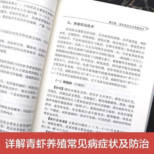 室内龙虾养殖需要什么条件,室内养龙虾技术视频教程