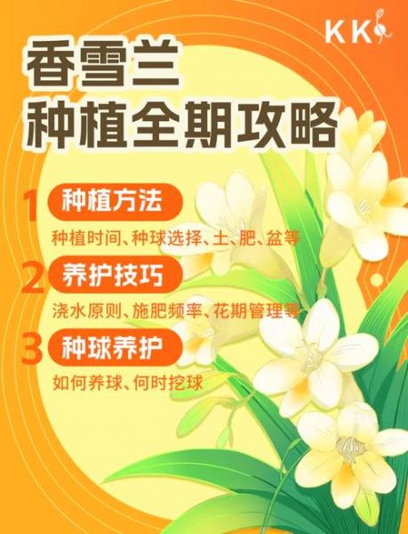 香雪兰花的养殖方法,墨兰花的养殖方法?