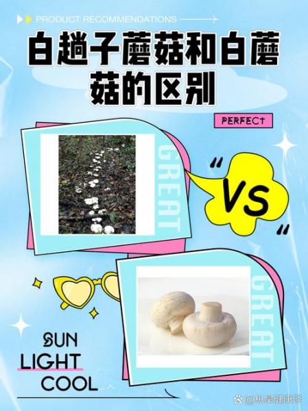 白菇种植方法全部过程?种白蘑菇的全程技术?