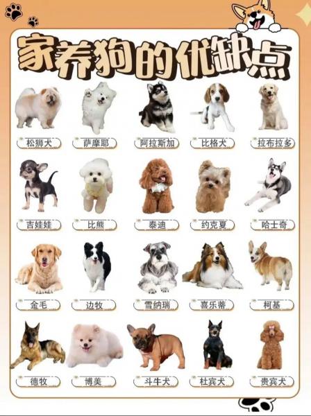 肉狗养殖怎么选品种,肉狗养殖技术?