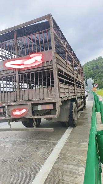 二手猪车哪里有得卖,转让二手猪车?