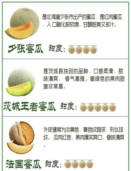 哈密瓜最新价格行情，2021最新哈密瓜价格走势？