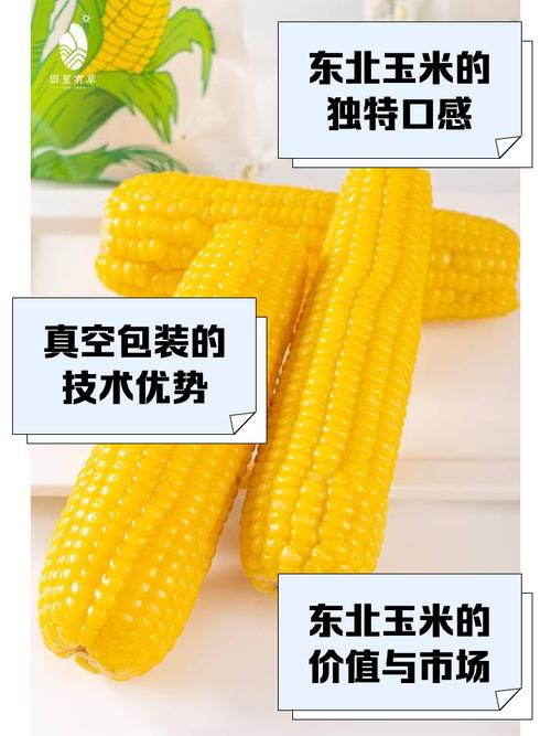 辽宁玉米亩产多少斤正常,辽宁玉米亩产量?