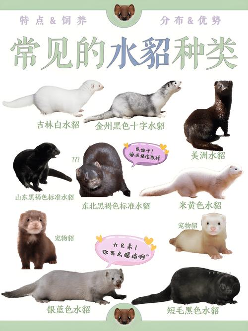 最新特种养殖有哪些品种,最新特种养殖项目?
