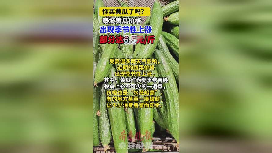 河南今日黄瓜价格最新行情,河南黄瓜产地最新价格?