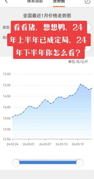 预计下半年猪价会涨吗,下半年猪价还会下跌吗