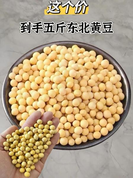 今日黄豆价是多少,今日黄豆最新价