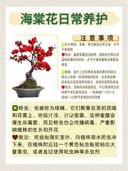 夫妻海棠花的养殖方法,夫妻海棠花的养护方法