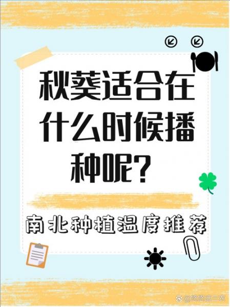南方黄秋葵的种植方法和时间，南方秋葵的种植方法和季节