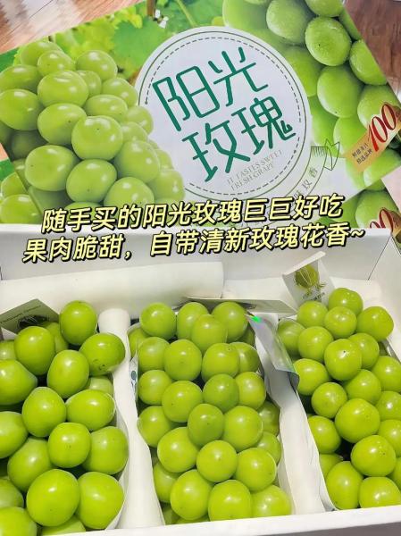 阳光玫瑰为什么要少吃,阳光玫瑰为什么这么贵