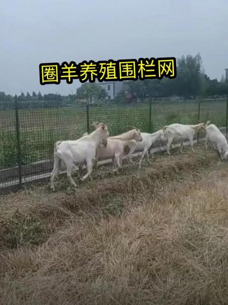 养殖网推荐，养殖网厂家