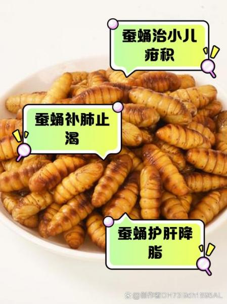 金蚕养殖技术方法,金蚕有什么药用价值