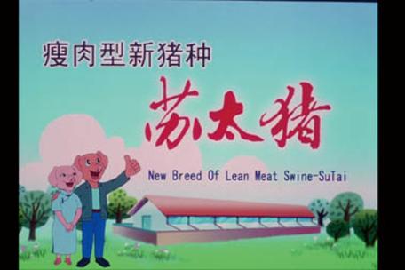 苏太猪肉质怎么样,苏太猪肉在苏州的专卖店明细?