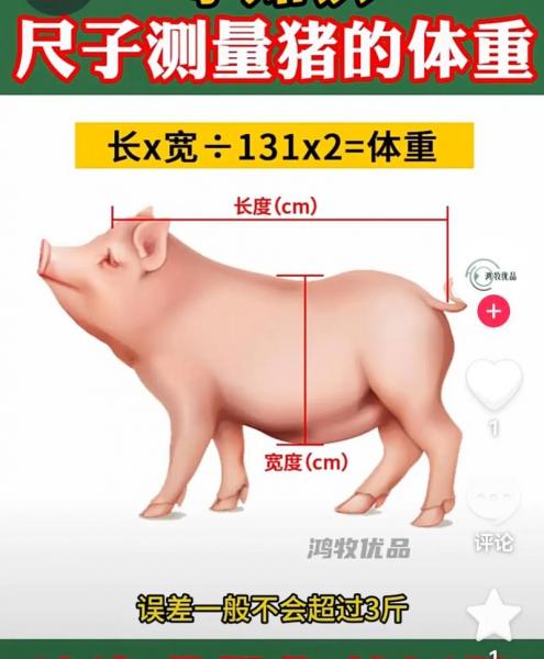 育肥猪的养殖密度是多少,肥猪饲养密度