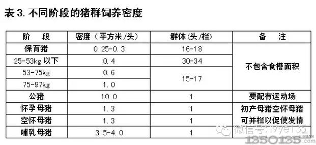 育肥猪的养殖密度是多少,肥猪饲养密度