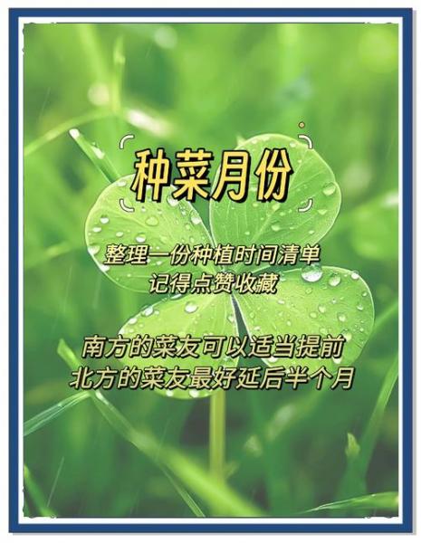 生菜种植技术和时间方法,生菜种植技术和时间方法有哪些