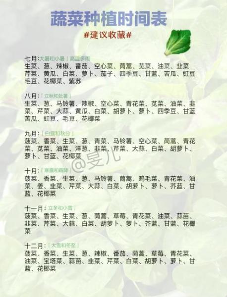 生菜种植技术和时间方法,生菜种植技术和时间方法有哪些