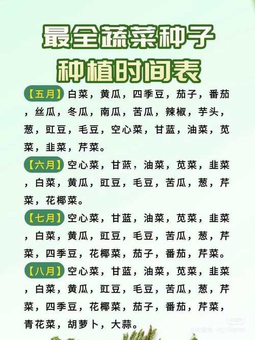 丝瓜的种植时间和方法?丝瓜的种植时间和方法和管理?