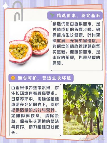 百香果的种植方法和技术,百香果种植方法和管理