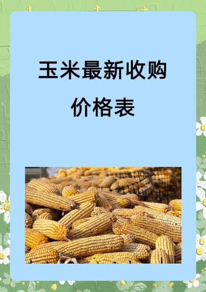 河南玉米最低收购价,现在河南玉米收购价钱