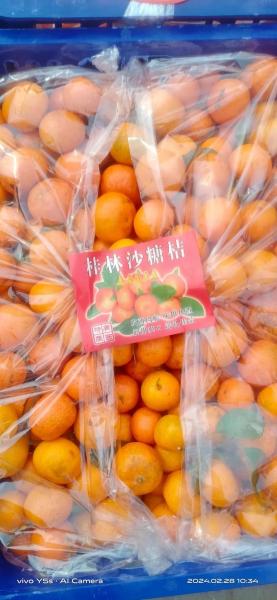 今年的沙糖桔的价格位怎样?2020年沙糖桔的价格?