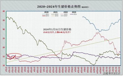 2021年下半年猪价还会上涨吗,2021下半年猪价会怎么样?