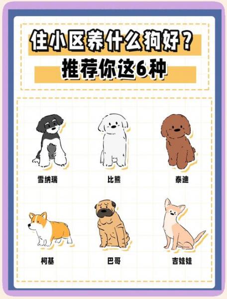 在房子里面可以养殖什么?适合在房子里养的小宠物?