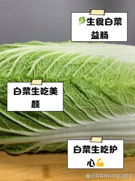 洋白菜能生吃吗,洋白菜能生吃吗怎么做?