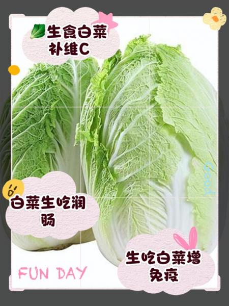 洋白菜能生吃吗,洋白菜能生吃吗怎么做?
