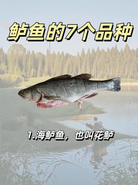 鲈鱼养殖要求和条件,鲈鱼几个月可以长一斤?