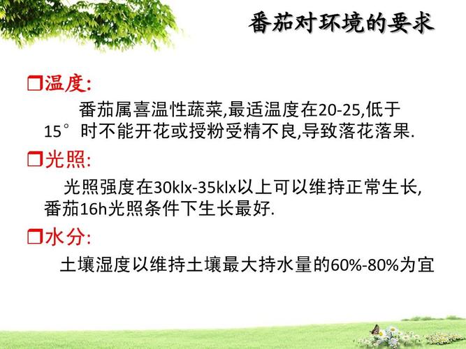 西红柿种植温度要求？西红柿种植温度要求多少？