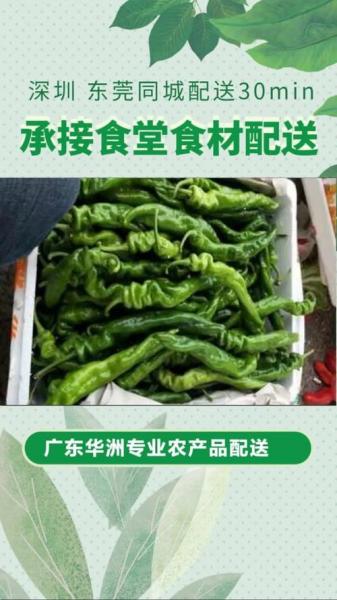 宜昌蔬菜价格最新行情,宜昌蔬菜基地在哪里